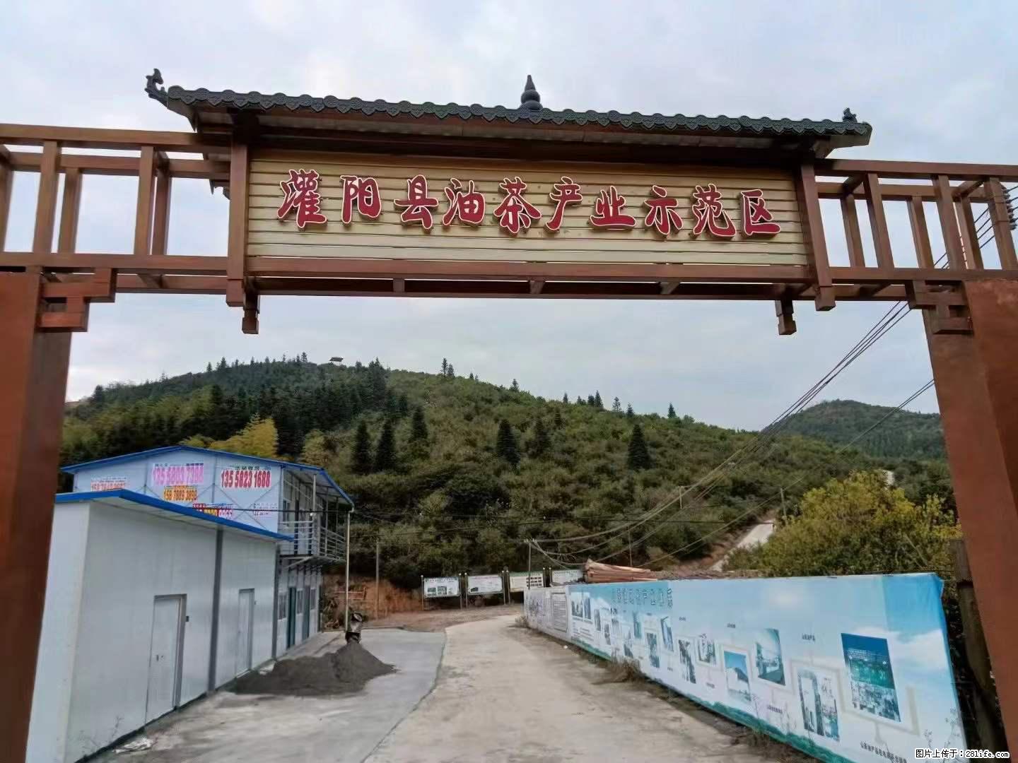 【灌阳县油茶产业示范区】一个有着充实的精神生活的人,对待身外之物自会有一种淡泊的态度 - 美食天地 - 南京生活社区 - 南京28生活网 nj.28life.com