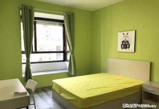单间 中山门大街 钟灵街二号线直达新街 顾家营路近南体 月付 - 南京28生活网 nj.28life.com