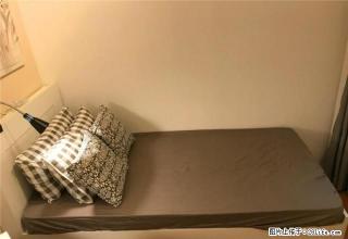 南农大学 童卫路 卫岗 近下马坊地铁 精装月付 无中介 - 南京28生活网 nj.28life.com