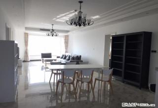 奥体北 急租 奥体中心站 高档楼盘 拎包入住 精装修 - 南京28生活网 nj.28life.com