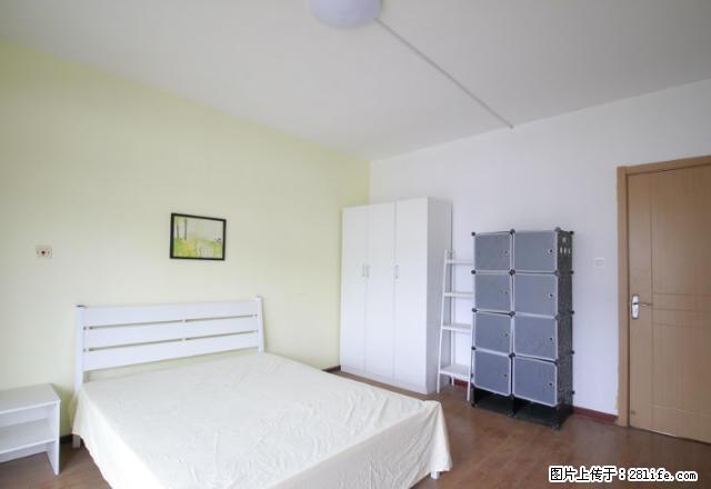 (单间出租)可短租 一号线竹山路 武夷绿洲 朝阳主卧带阳台 - 房屋出租 - 房屋租售 - 南京分类信息 - 南京28生活网 nj.28life.com