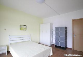 (单间出租)可短租 一号线竹山路 武夷绿洲 朝阳主卧带阳台 - 南京28生活网 nj.28life.com