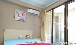(单间出租)诚信大道殷巷新寓附近 恒大绿洲 骏景华庭 精装月付带独立阳台 - 南京28生活网 nj.28life.com