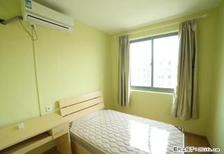 出租大方巷 山西路 精装修 两居室 随时看房 随时入住采 - 南京28生活网 nj.28life.com