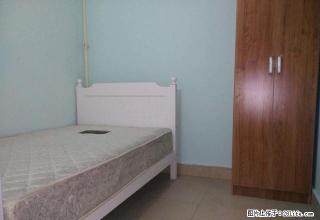 (单间出租)鸡鸣寺地铁口 北京东路小学 南京外国语学院 公教一村精装单间 - 南京28生活网 nj.28life.com