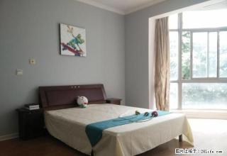 (单间出租)百家湖地铁口精装单间出租，家电齐全，无中介费，拎包入住 - 南京28生活网 nj.28life.com