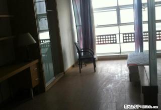 奥体中心北门梦都大街地铁旁精装公寓,签约送500苏果卡, - 南京28生活网 nj.28life.com