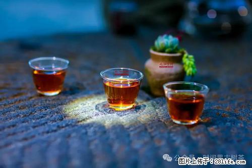 时间果百年古树2025年春红茶 - 购物交流 - 南京生活社区 - 南京28生活网 nj.28life.com