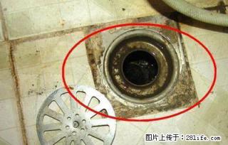 南京建邺区专业维修卫生间下水道臭味 专业维修疑难杂症 - 南京28生活网 nj.28life.com