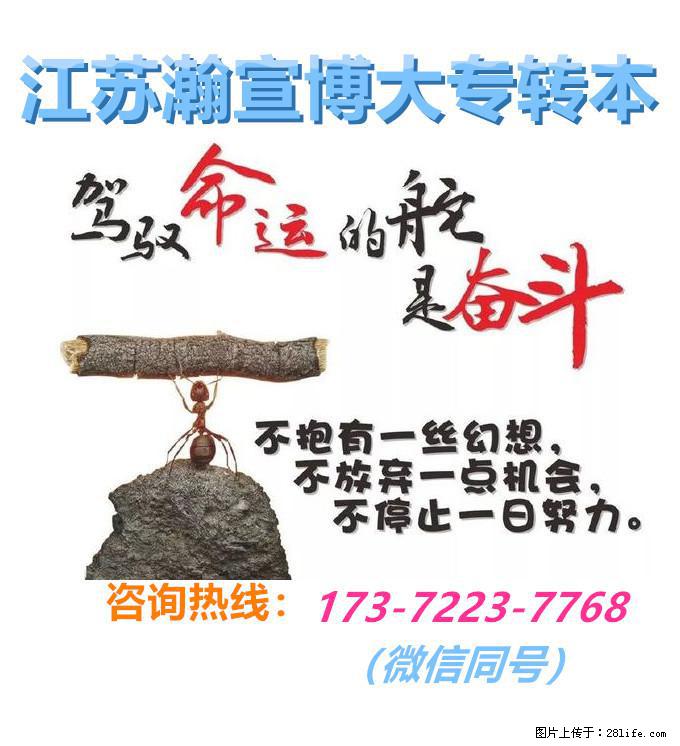 五年制专转本备考不盲目，分阶段发力，稳稳抓住学历跨越机会！ - 网站推广 - 广告专区 - 南京分类信息 - 南京28生活网 nj.28life.com