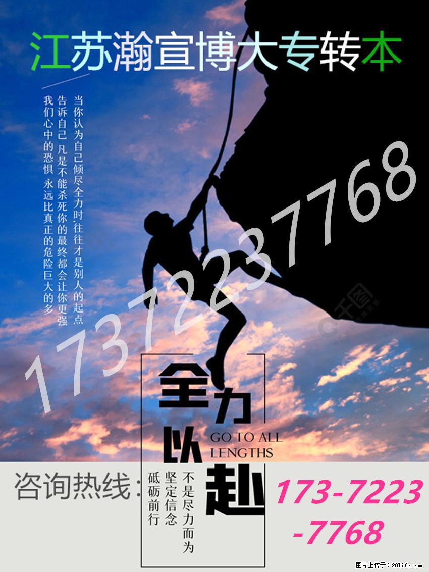 解锁五年制专转本备考密码,不负青春不负每一份努力! - 网站推广 - 广告专区 - 南京分类信息 - 南京28生活网 nj.28life.com