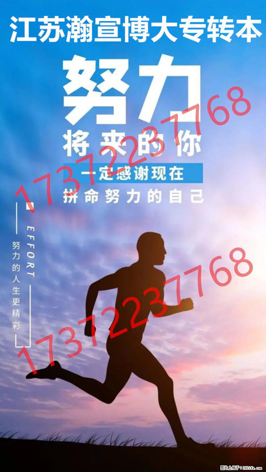 打破成长桎梏，深耕学业沃土，五年制专转本赴一场学历之约！ - 网站推广 - 广告专区 - 南京分类信息 - 南京28生活网 nj.28life.com