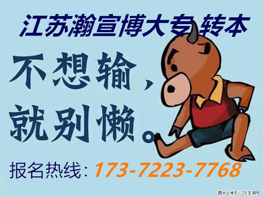 深耕五年制专转本备考，辅导班多维助力夯实升学备考根基！ - 网站推广 - 广告专区 - 南京分类信息 - 南京28生活网 nj.28life.com