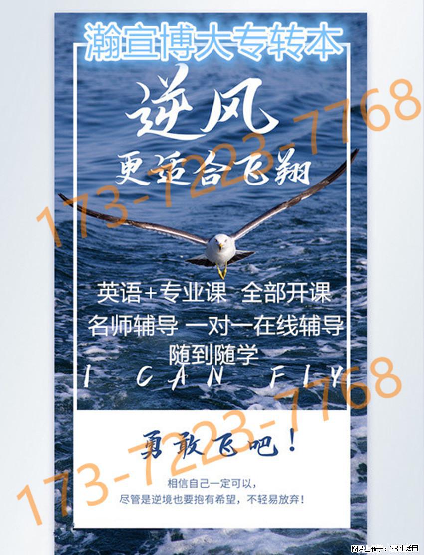 依托五年制专转本升学平台，补足学识短板全面提升个人竞争力！ - 网站推广 - 广告专区 - 南京分类信息 - 南京28生活网 nj.28life.com