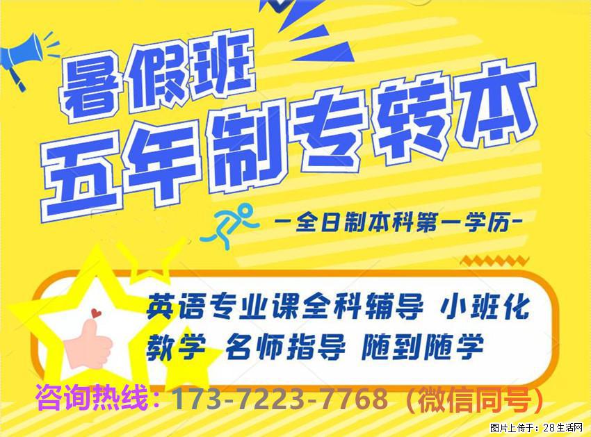 深耕知识打磨自身能力，从容应对五年制专转本考验稳步冲刺！ - 网站推广 - 广告专区 - 南京分类信息 - 南京28生活网 nj.28life.com