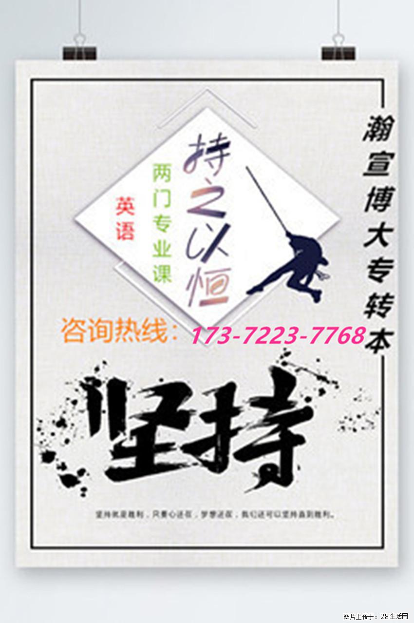 长路深耕，终抵芳华：五年制专转本备考的你，终迎微光！ - 网站推广 - 广告专区 - 南京分类信息 - 南京28生活网 nj.28life.com