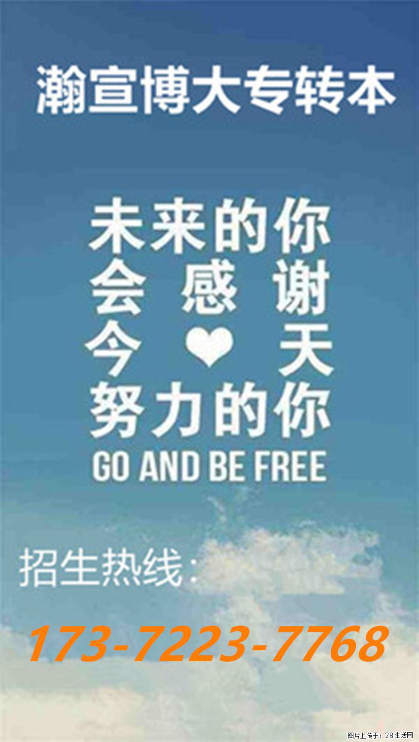 聚焦五年制专转本学科考点，循序渐进积累知识提升应试功底！ - 网站推广 - 广告专区 - 南京分类信息 - 南京28生活网 nj.28life.com