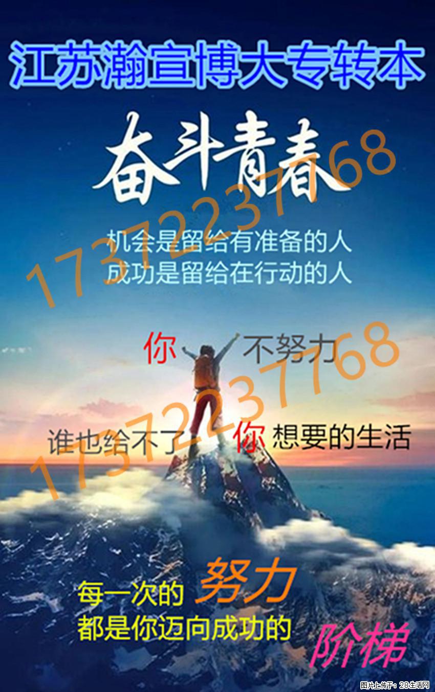 专注五年制专转本专业英语备考，默默精进终迎本科蜕变机遇！ - 网站推广 - 广告专区 - 南京分类信息 - 南京28生活网 nj.28life.com