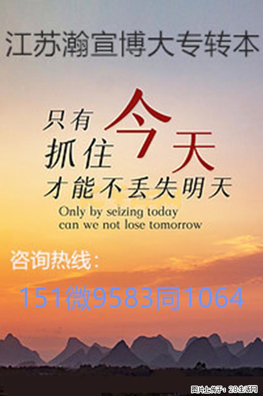 江苏五年制专转本稳住备考节奏，规避误区沉淀努力终得回响！ - 网站推广 - 广告专区 - 南京分类信息 - 南京28生活网 nj.28life.com