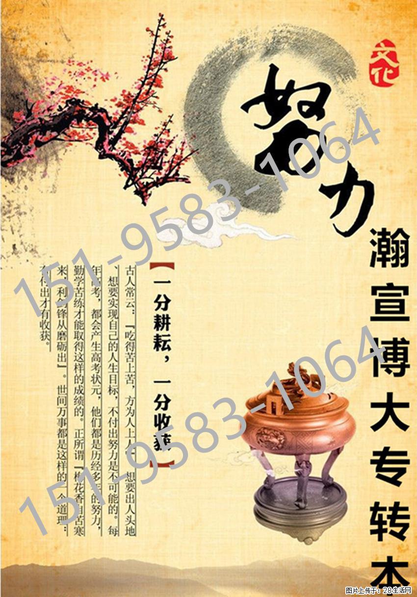立足5303财务会计类专业，走好五年制专转本学历提升·升学之路！ - 网站推广 - 广告专区 - 南京分类信息 - 南京28生活网 nj.28life.com
