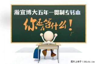 五年制专转本英语复习指南：从基础薄弱到高效提分 - 南京28生活网 nj.28life.com