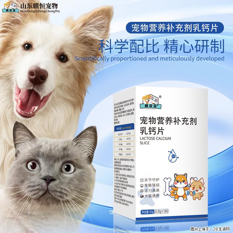 幼犬趴蹄、老狗腿僵别乱补！恒元星乳钙片，养宠家庭常年必备。 - 其它 - 宠物信息 - 南京分类信息 - 南京28生活网 nj.28life.com
