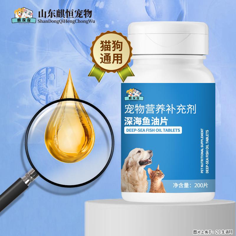 一抱一身毛别再怪换季！一片深海鱼油片，养出顺滑亮泽好皮毛 - 其它 - 宠物信息 - 南京分类信息 - 南京28生活网 nj.28life.com