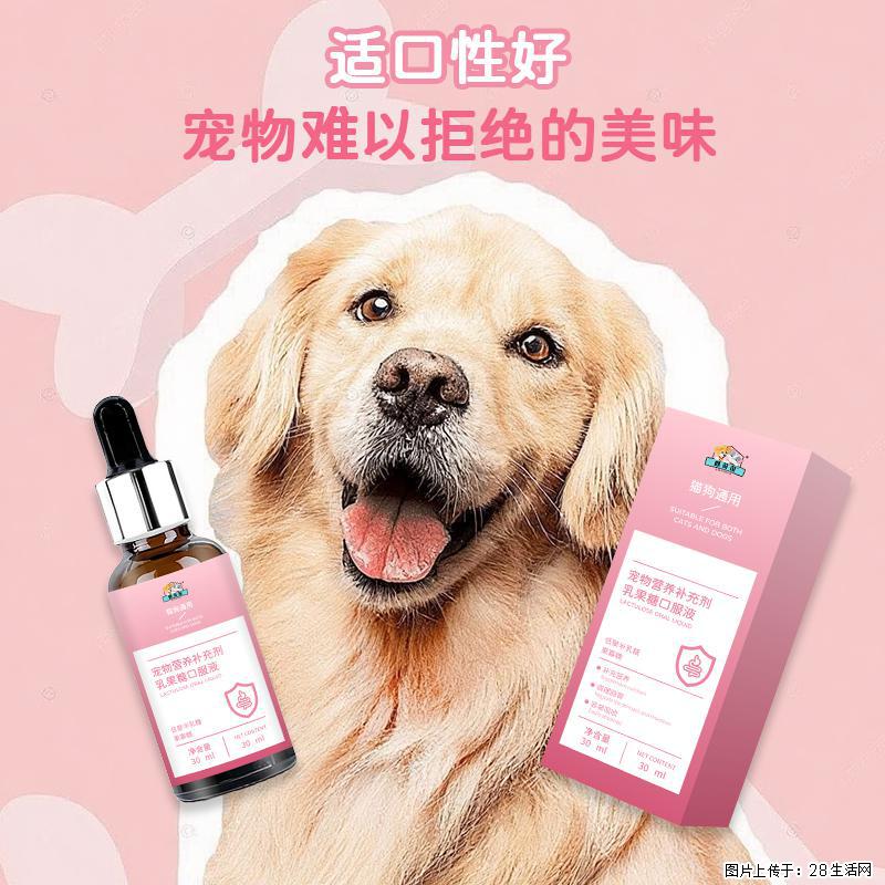 毛孩子便秘拉不出太遭罪！乳果糖口服液，温和通便不伤肠胃 - 其它 - 宠物信息 - 南京分类信息 - 南京28生活网 nj.28life.com
