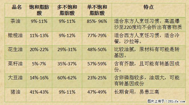 揭秘茶油的5大核心营养成分!被称为人体健康的“守护盾”! - 南京生活资讯 - 南京28生活网 nj.28life.com