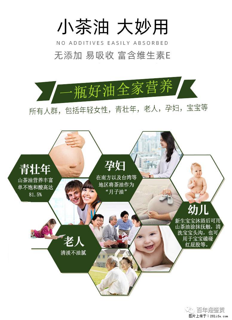 世界没有真相,只有认知,最好的食用油是中国的山茶油! - 南京生活资讯 - 南京28生活网 nj.28life.com