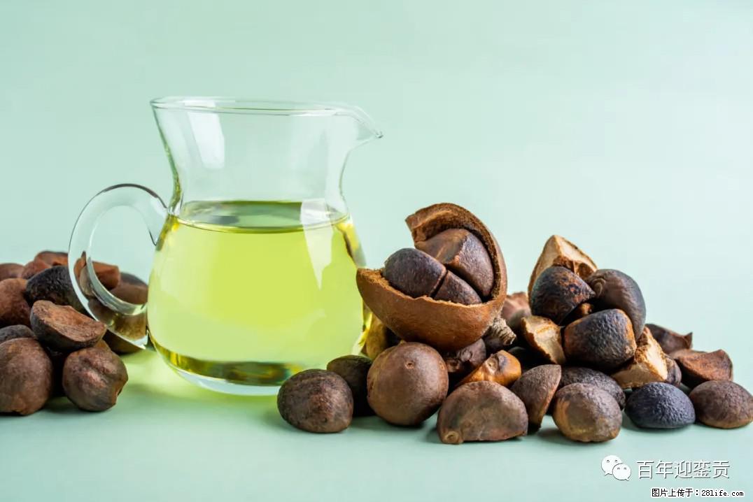 世界没有真相，只有认知，最好的食用油是中国的山茶油！ - 南京生活资讯 - 南京28生活网 nj.28life.com