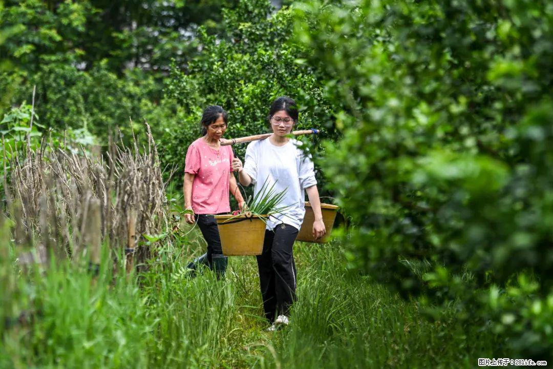全网追的“扁担女孩”,找了一份暑假工,时薪12元 - 南京生活资讯 - 南京28生活网 nj.28life.com
