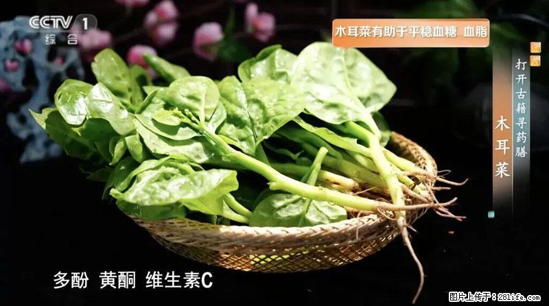 比牛奶补钙还厉害!凉血解毒、稳血糖...这菜冬天必吃,很多人却当草 - 南京生活资讯 - 南京28生活网 nj.28life.com