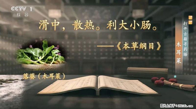 比牛奶补钙还厉害!凉血解毒、稳血糖...这菜冬天必吃,很多人却当草 - 南京生活资讯 - 南京28生活网 nj.28life.com