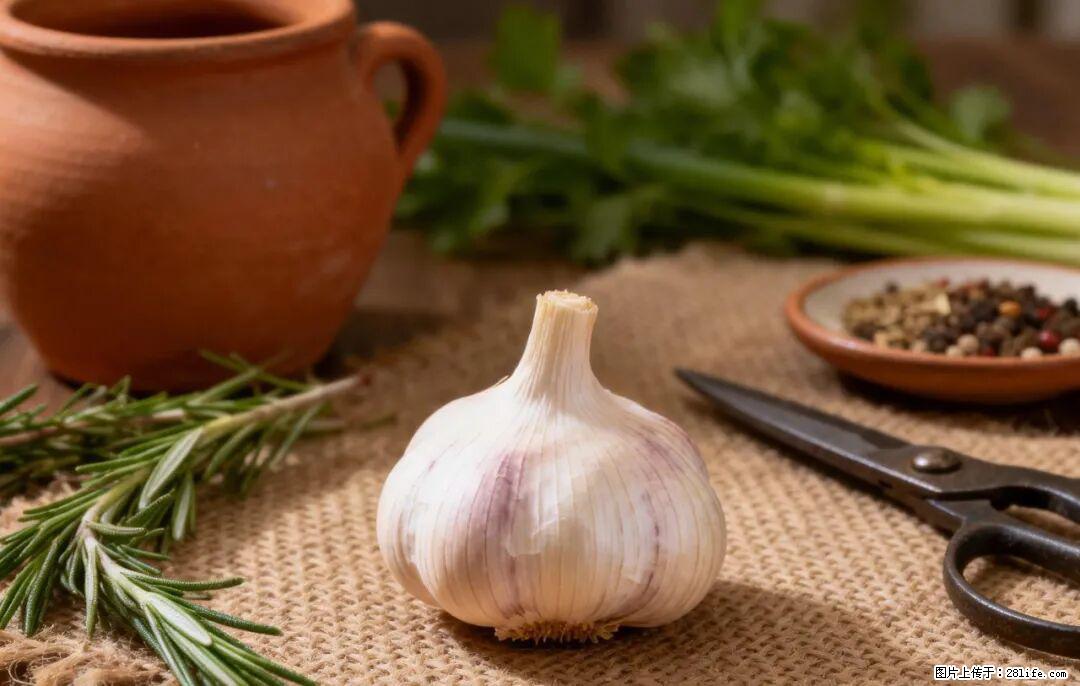 关于大蒜，除了“天然抗生素”，这4个谣言更该警惕! - 南京生活资讯 - 南京28生活网 nj.28life.com