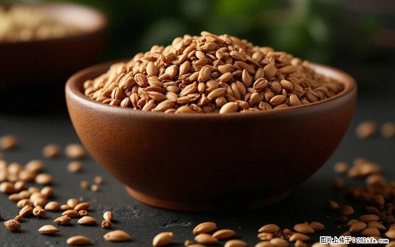 这三苦是三高“克星”，心血管干净不易堵！每天吃一点，指标慢慢降下来~ - 南京生活资讯 - 南京28生活网 nj.28life.com