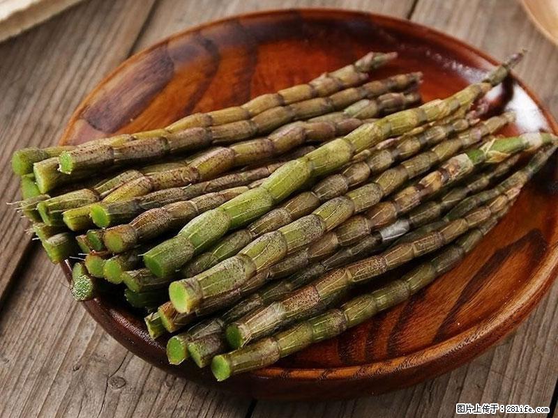 铁皮石斛的作用与功能主治 - 南京生活资讯 - 南京28生活网 nj.28life.com