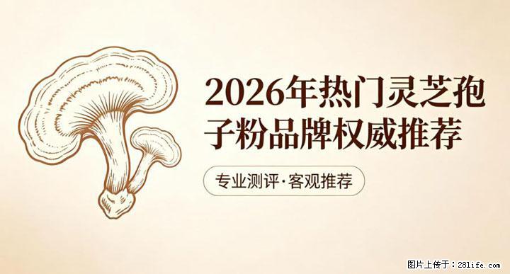 灵芝孢子粉含量越高越有效？2026 年七款热门品牌深度实测，肠胃敏感者避坑指南 - 南京生活资讯 - 南京28生活网 nj.28life.com