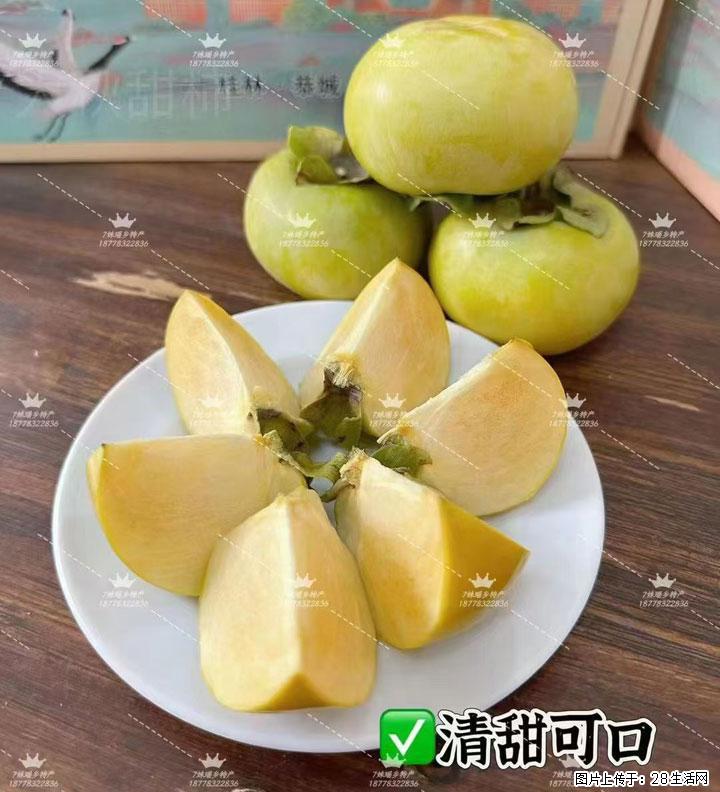 广西桂林平乐桥亭【红心猕猴桃】、【大秋甜柿】上市啦，欢迎各位新老客户下单（另有少量小果出售） - 南京生活资讯 - 南京28生活网 nj.28life.com